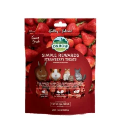 Freeze-Dried Strawberry Treats for Rodents