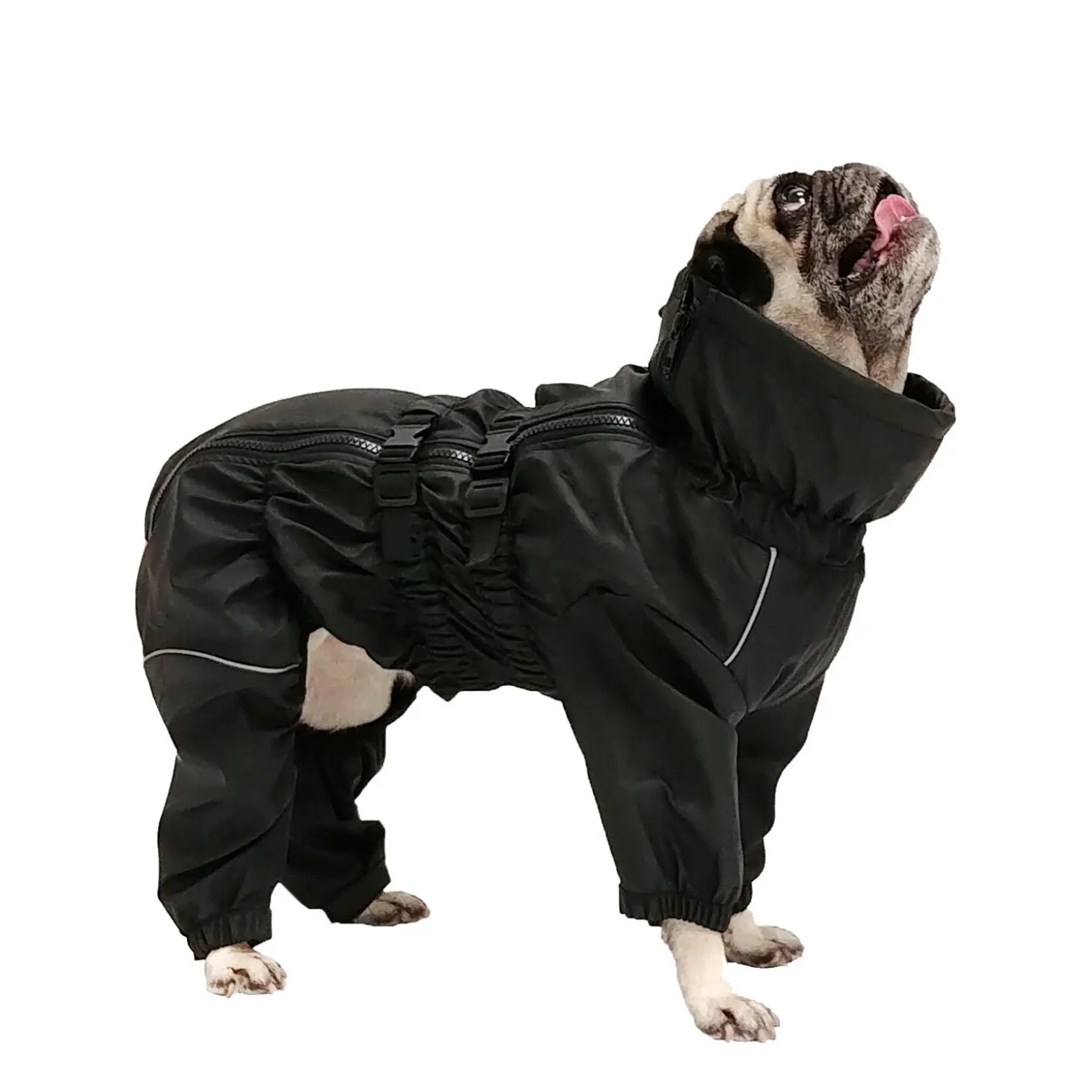 Full Body Winter Suit for Dogs
