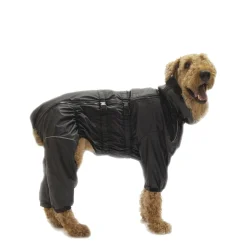 Full Body Winter Suit for Dogs