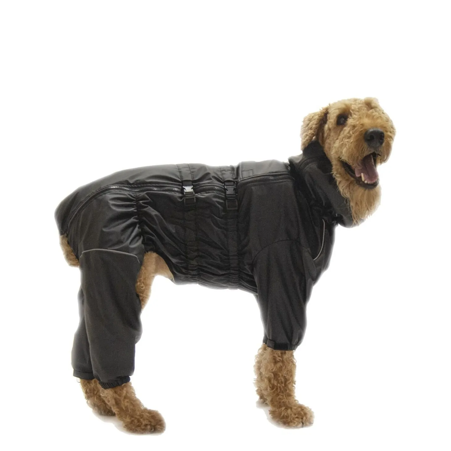 Full Body Winter Suit for Dogs