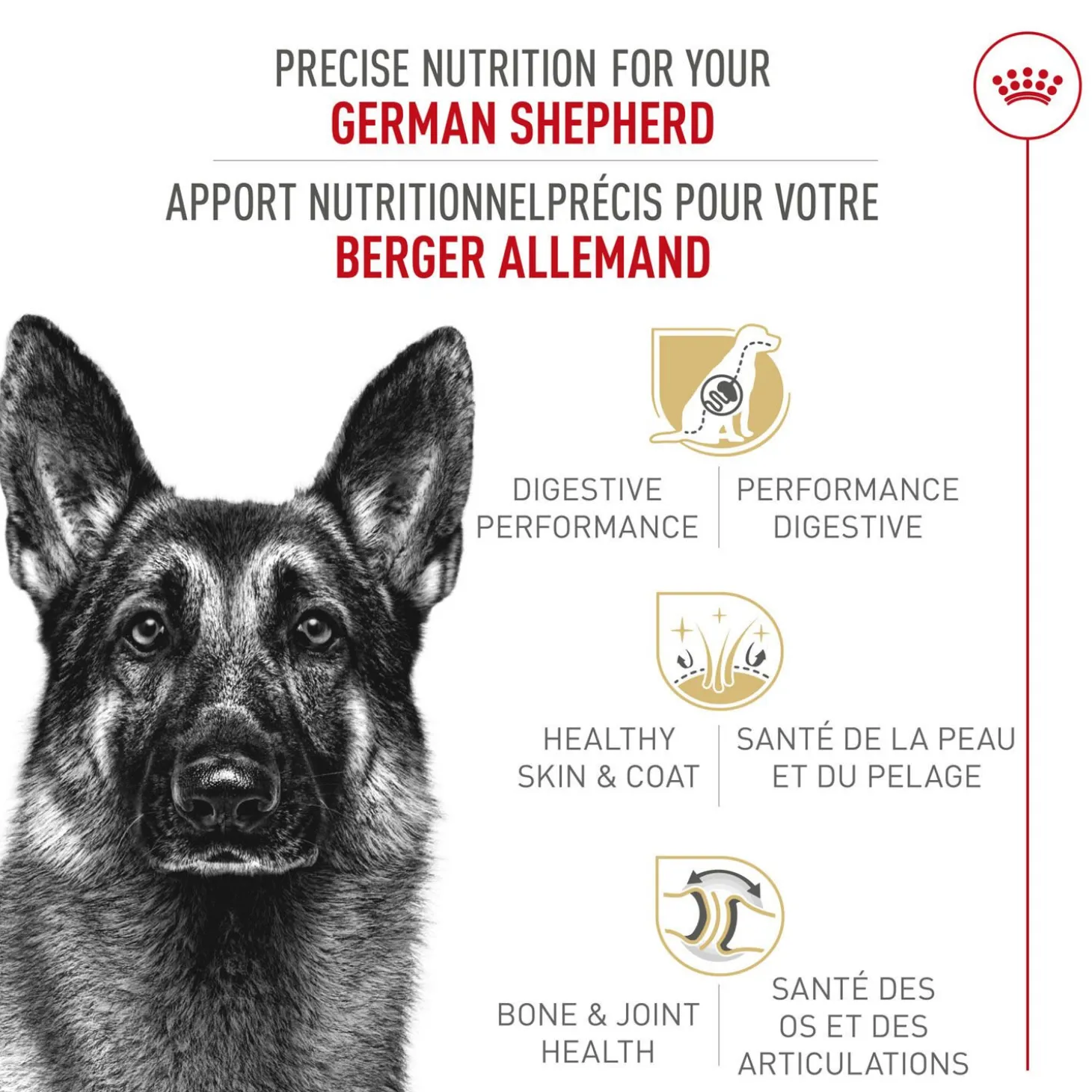 German Shepherd Adult Dry Dog Food