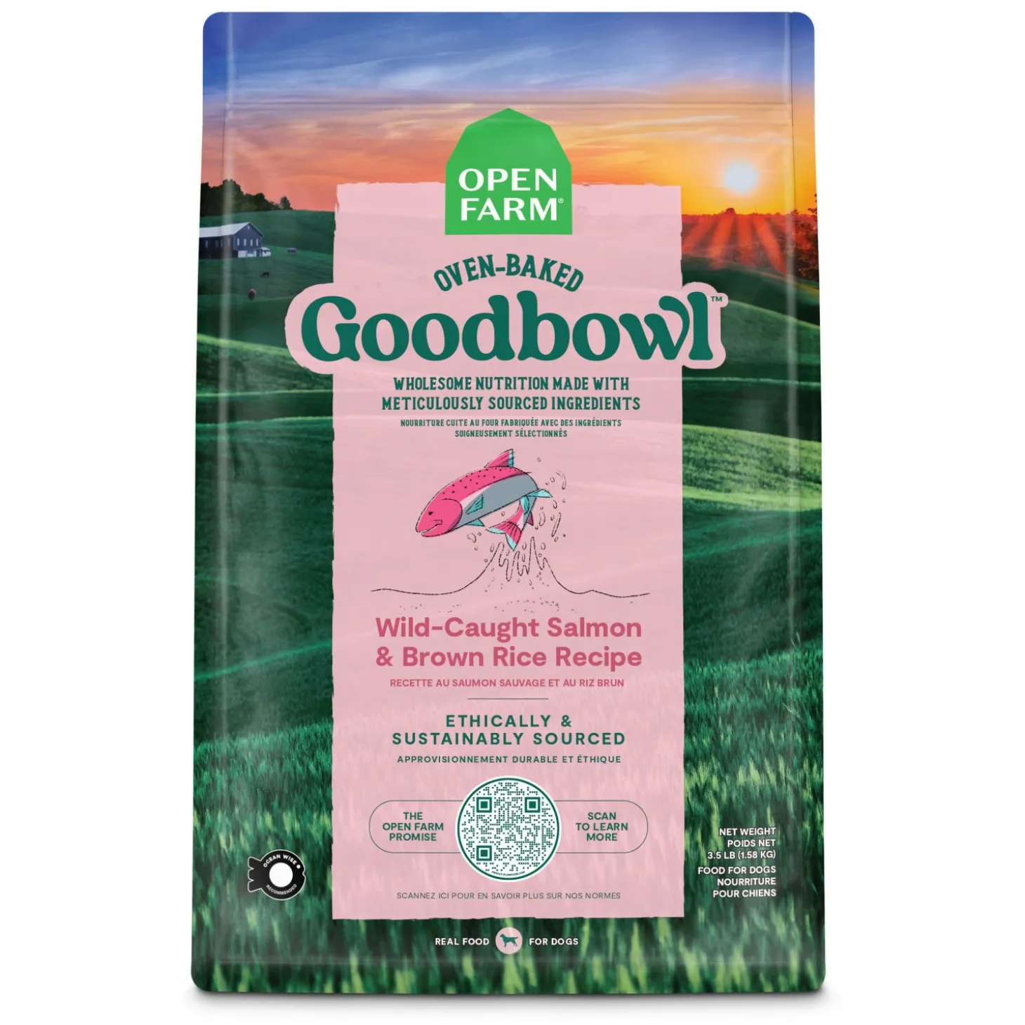 GoodBowl Wild-Caught Salmon & Brown Rice Recipe Dry Dog Food
