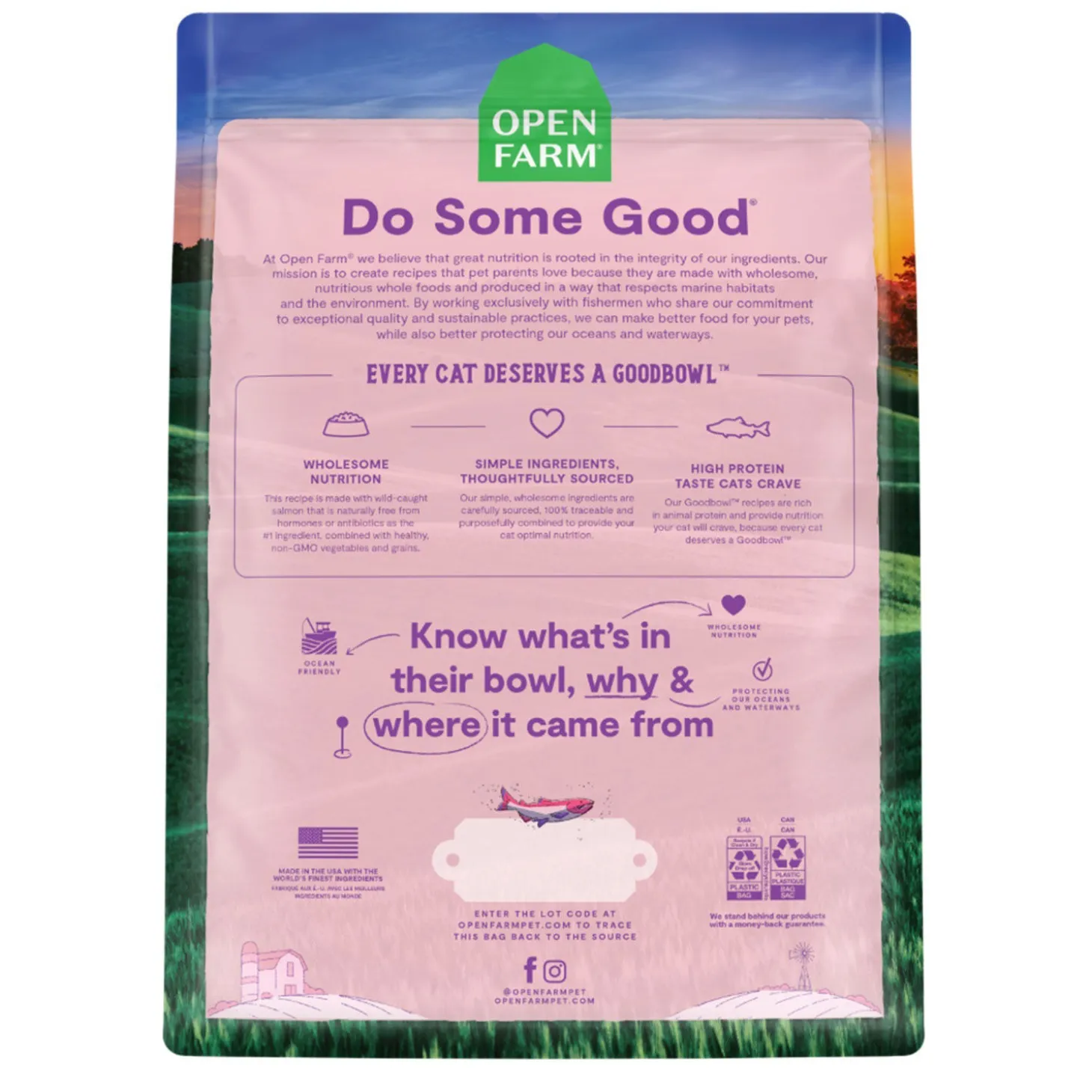 GoodBowl Wild-Caught Salmon & Brown Rice Recipe Dry Cat Food