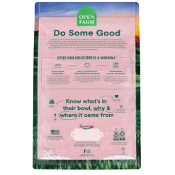 GoodBowl Wild-Caught Salmon & Brown Rice Recipe Dry Dog Food