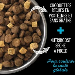 Grain free dryfood for adult dog, Canadian pacific formula