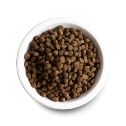 Grain Free Grass-Fed Beef Dry Food For Dogs