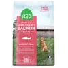 Grain Free Wild-Caught Salmon Recipe Dry Food for Cats
