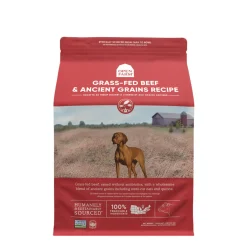 Grass-fed beef & ancient grains dry dog food