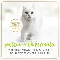 Grilled salmon wet food for adult cats