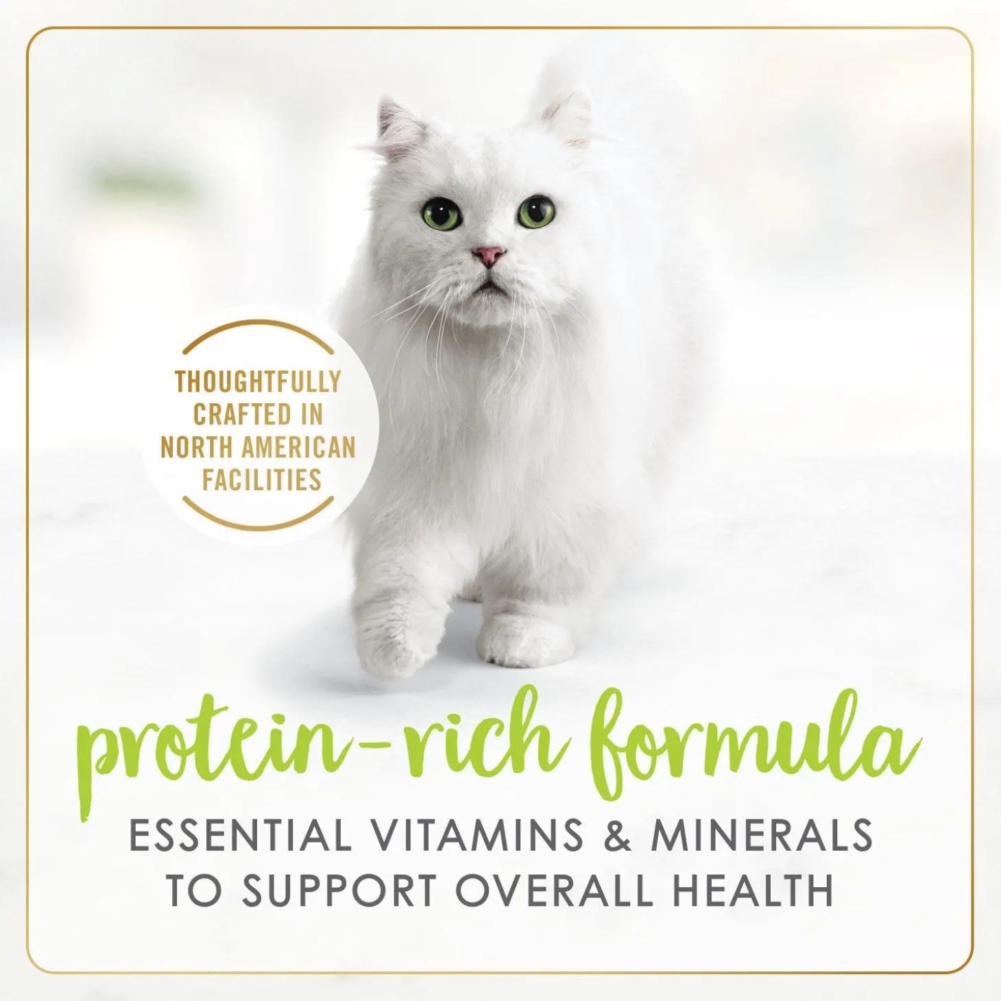 Grilled salmon wet food for adult cats