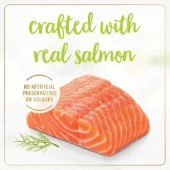 Grilled salmon wet food for adult cats