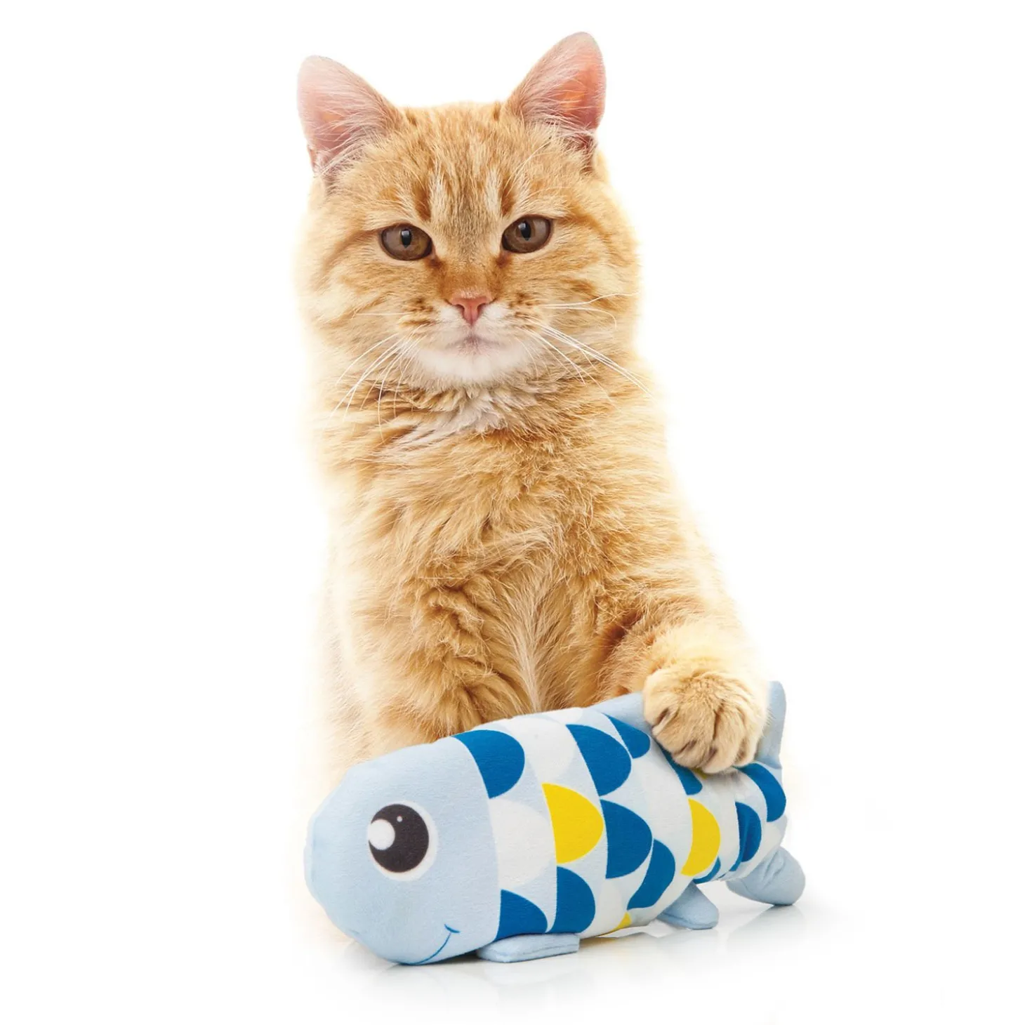 Groovy Fish Toy for Cats