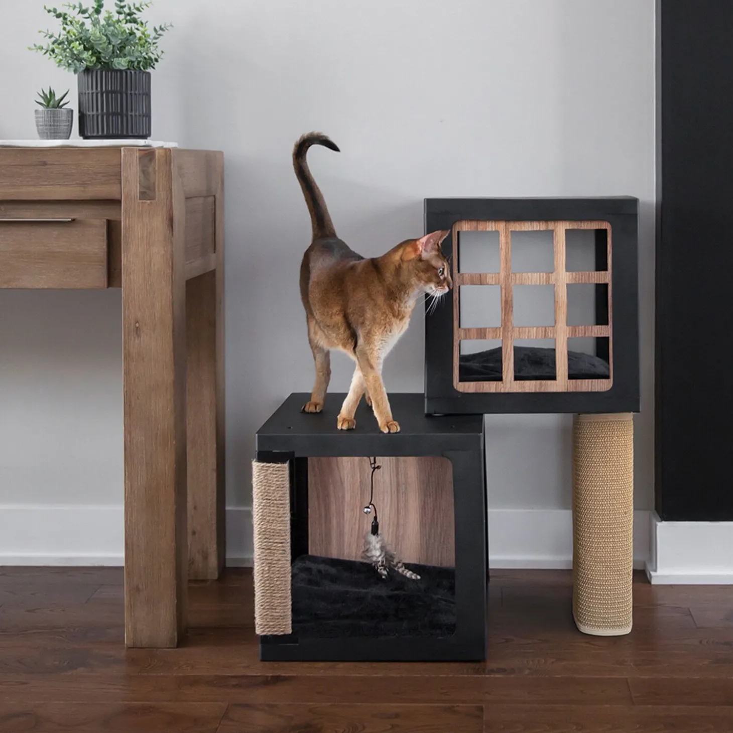 Habikatt cat tree