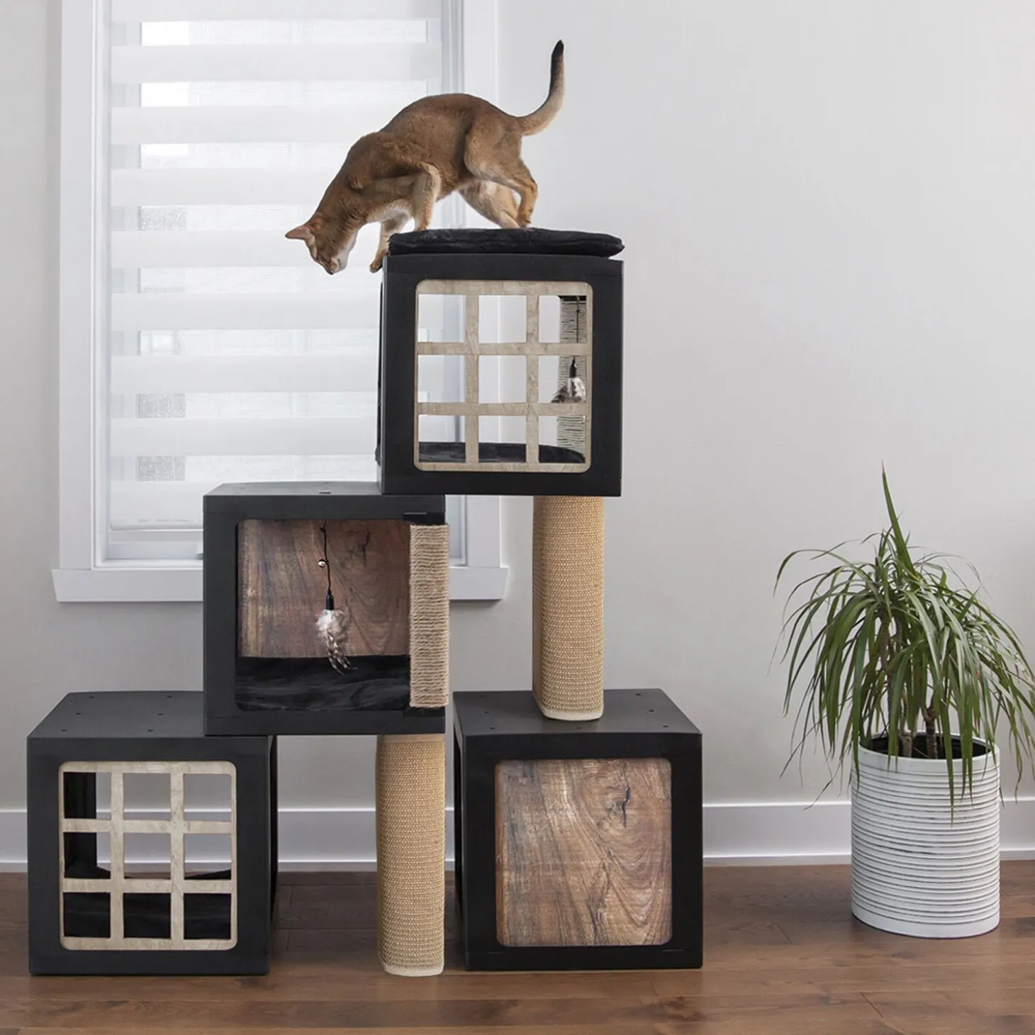 Habikatt cat tree