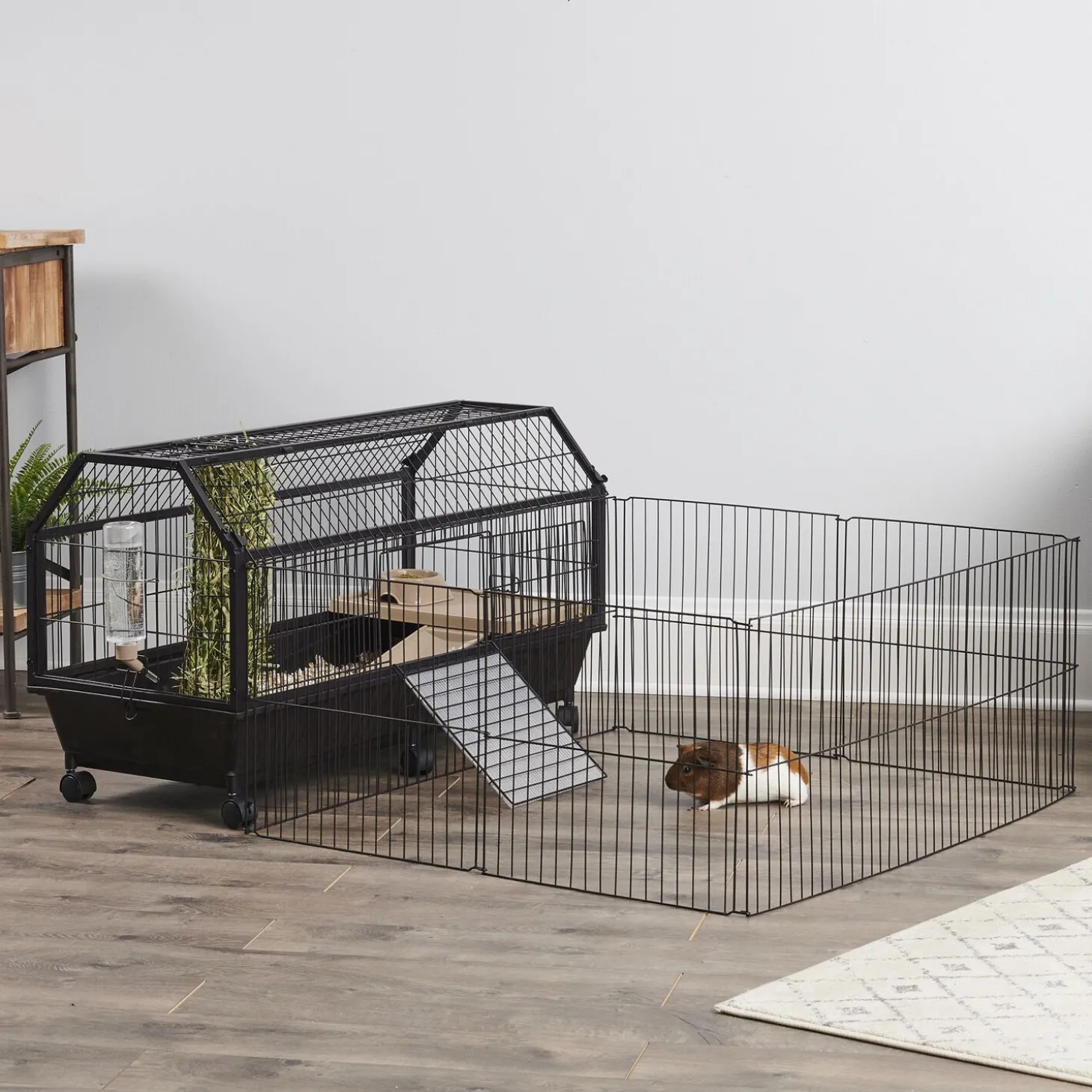 Habitat for Rodents with Play Yard