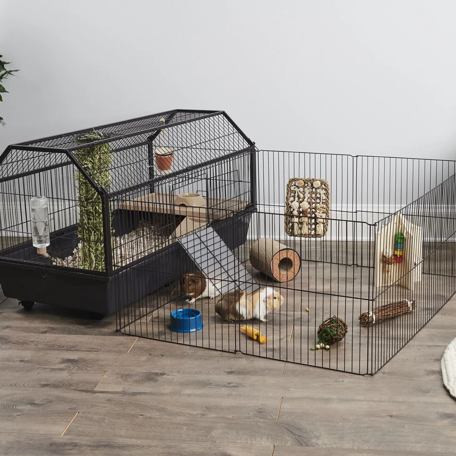 Habitat for Rodents with Play Yard