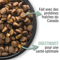 Hairball control formula for cats