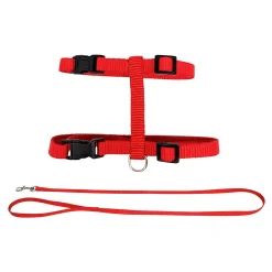 Harness and Leash Kit for Cats