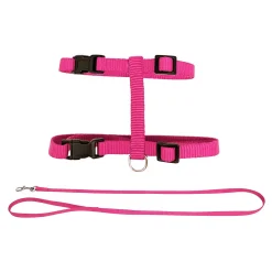 Harness and Leash Kit for Cats