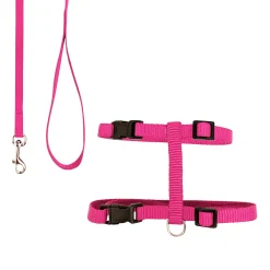 Harness and Leash Kit for Cats