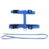 Harness and Leash Kit for Cats
