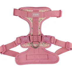 Harness for Dogs, Flower Field