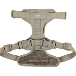 Harness for Dogs, Sand