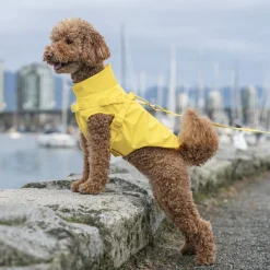 Harness Raincoat for Dogs