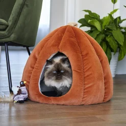 Harvest Cat Hideout
