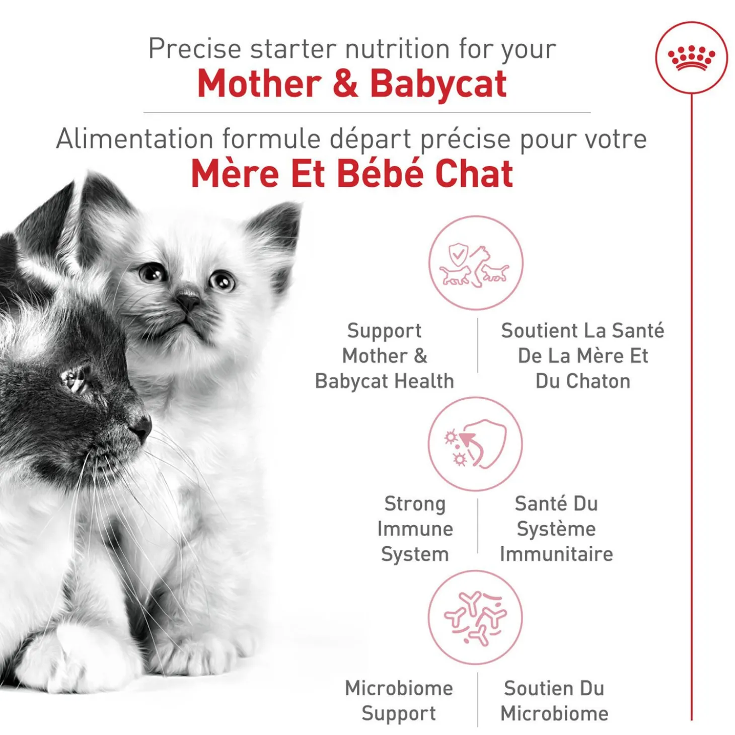 Health Nutrition™ Mother & Babycat Dry Food