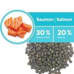 Healthy Skin and Coat Salmon Formula for Adult Cats