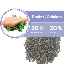 Healthy Start Chicken Formula for Kittens