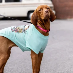 Heather Aqua Graphic Tee for Dogs