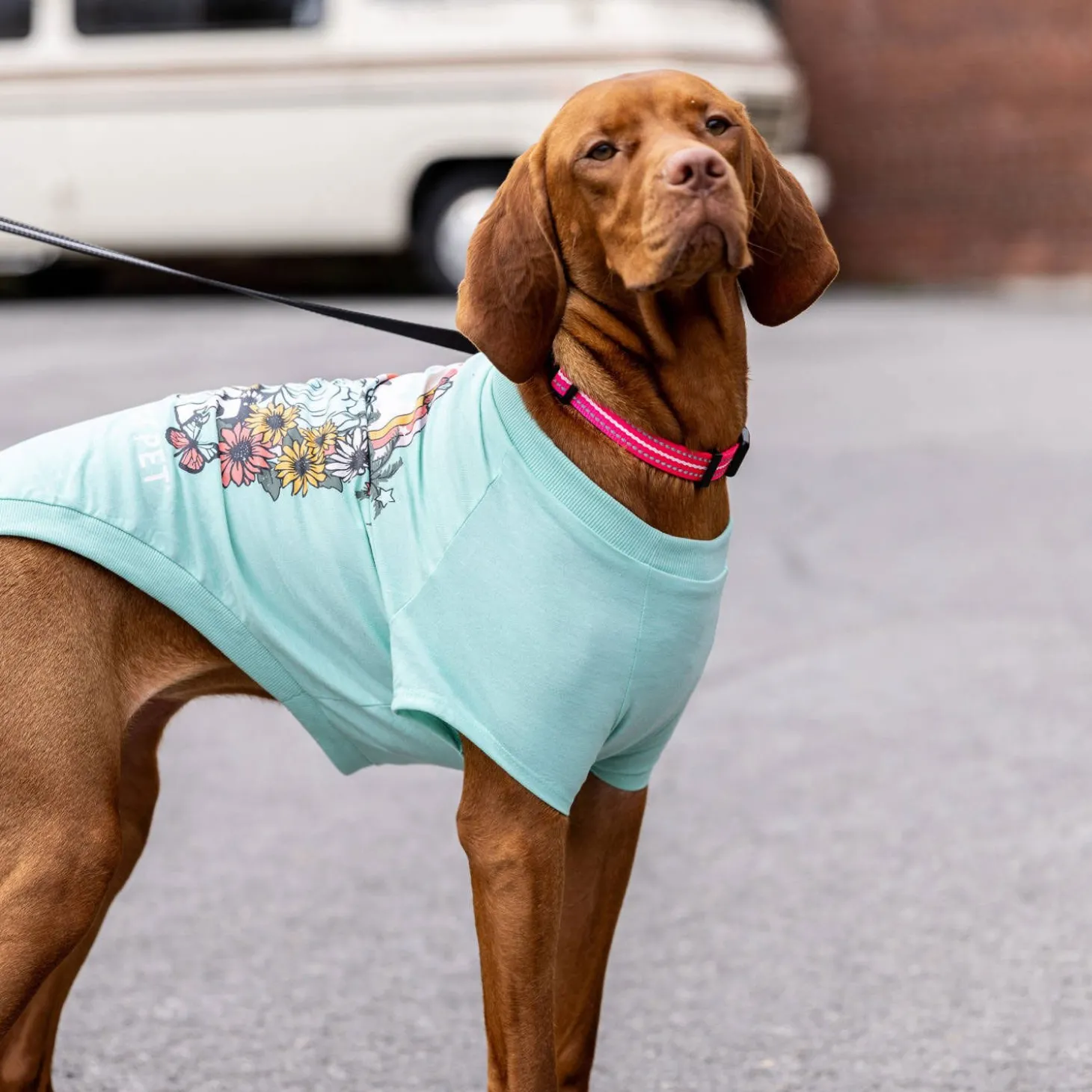 Heather Aqua Graphic Tee for Dogs