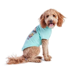 Heather Aqua Graphic Tee for Dogs