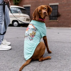 Heather Aqua Graphic Tee for Dogs