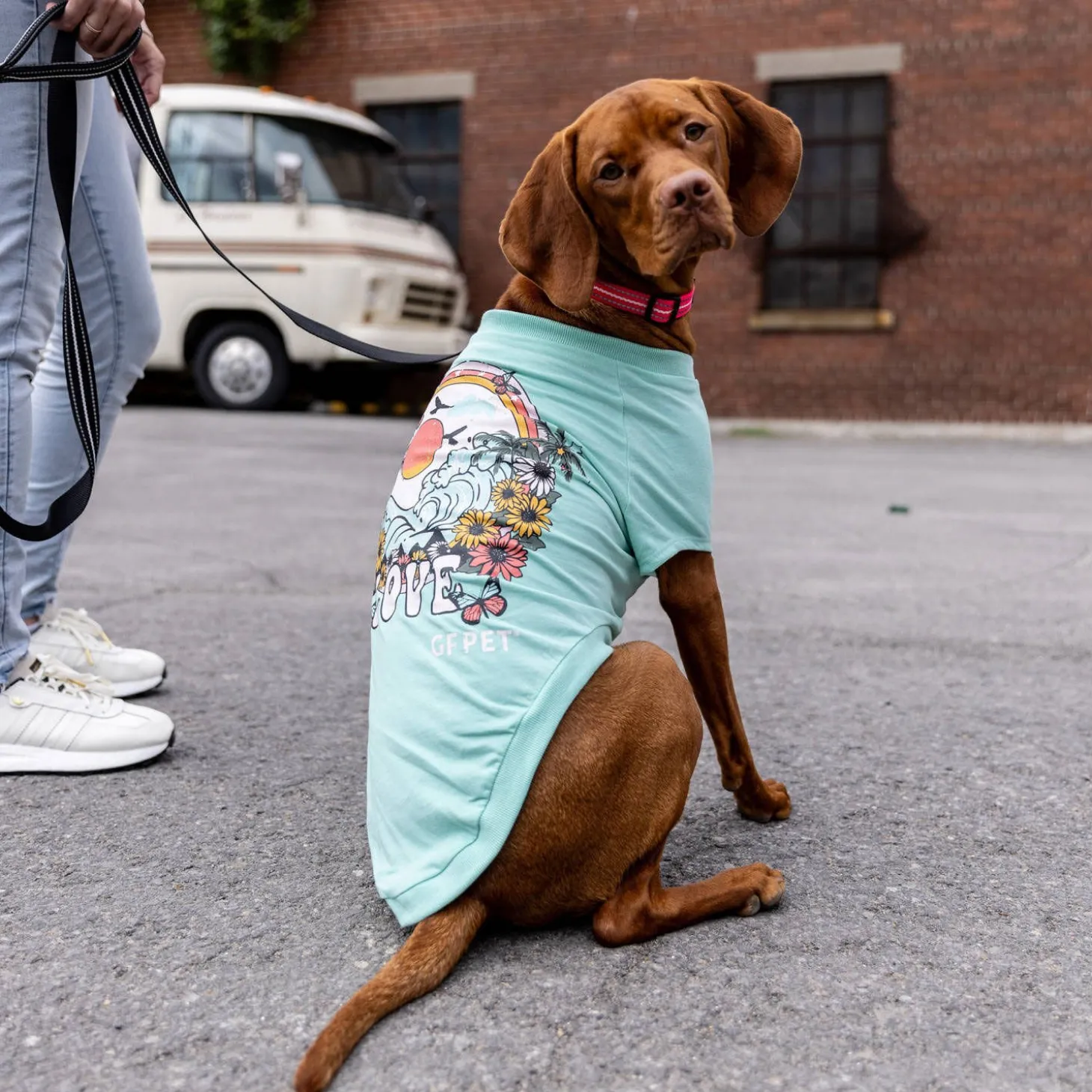 Heather Aqua Graphic Tee for Dogs