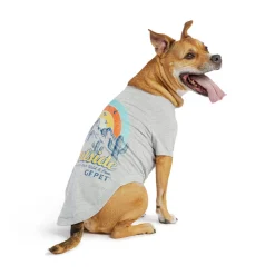 Heather Grey Graphic Tee for Dogs