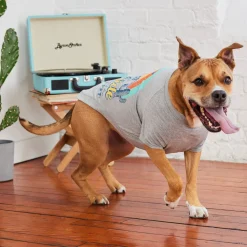Heather Grey Graphic Tee for Dogs