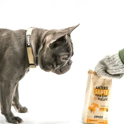 Hemp Dog Collar