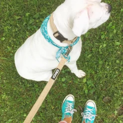Hemp Dog Collar