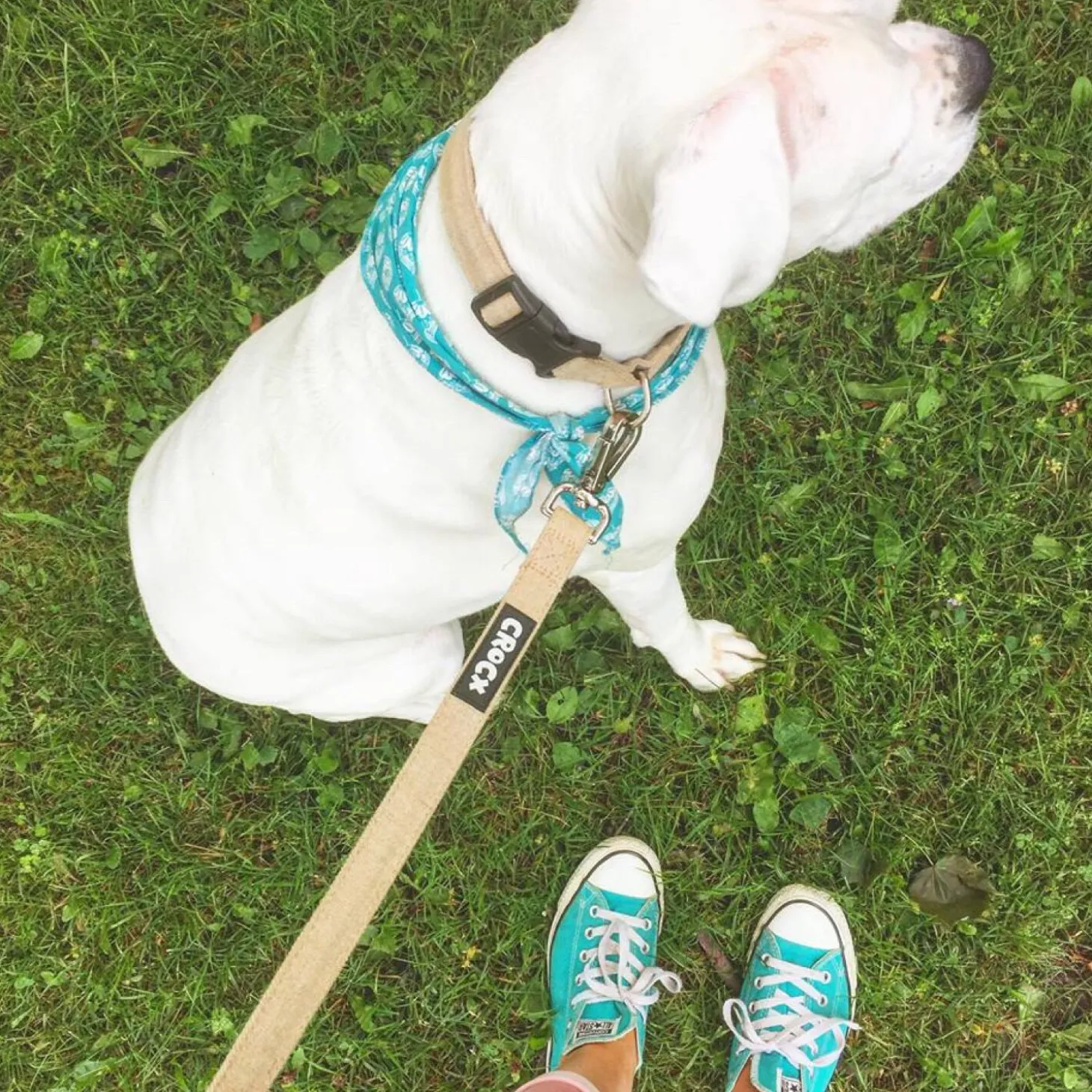 Hemp Dog Collar