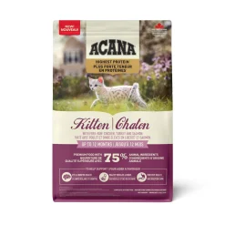 Highest Protein Dry Food for Kittens, 1.8 kg