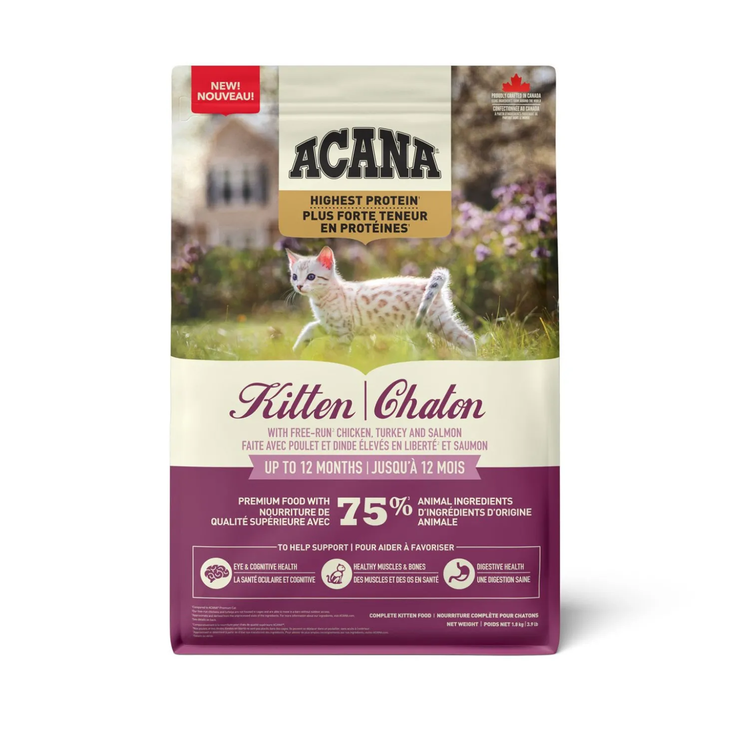 Highest Protein Dry Food for Kittens, 1.8 kg