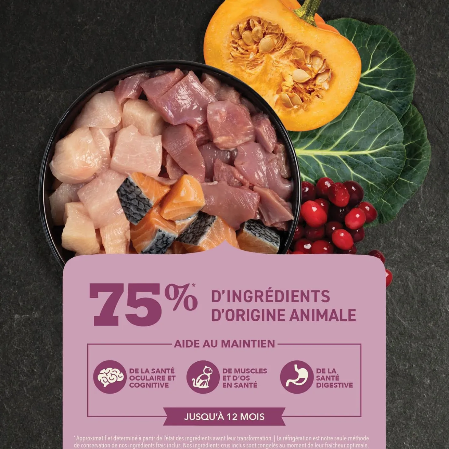 Highest Protein Dry Food for Kittens, 1.8 kg