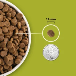 Highest Protein Grasslands Dry Dog Food Recipe, 2 kg