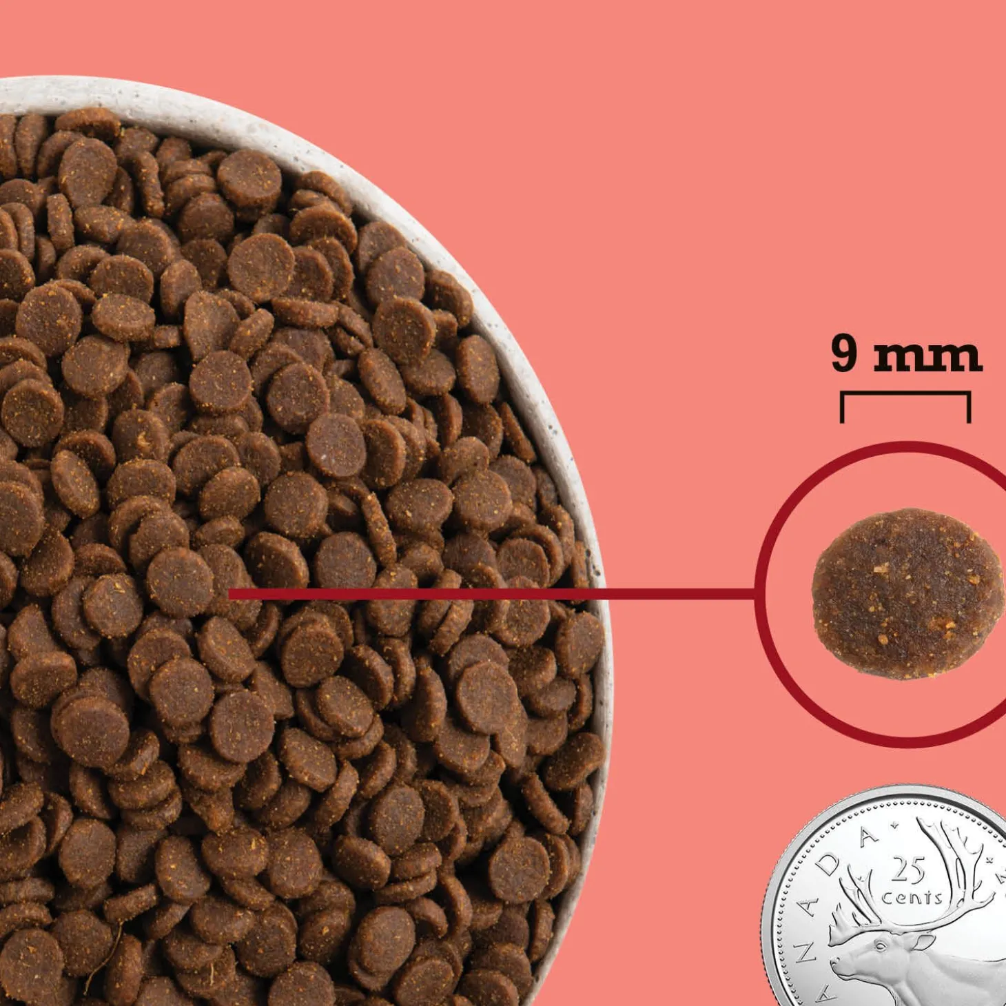 Highest Protein Indoor Dry Cat Food, 1.8 kg