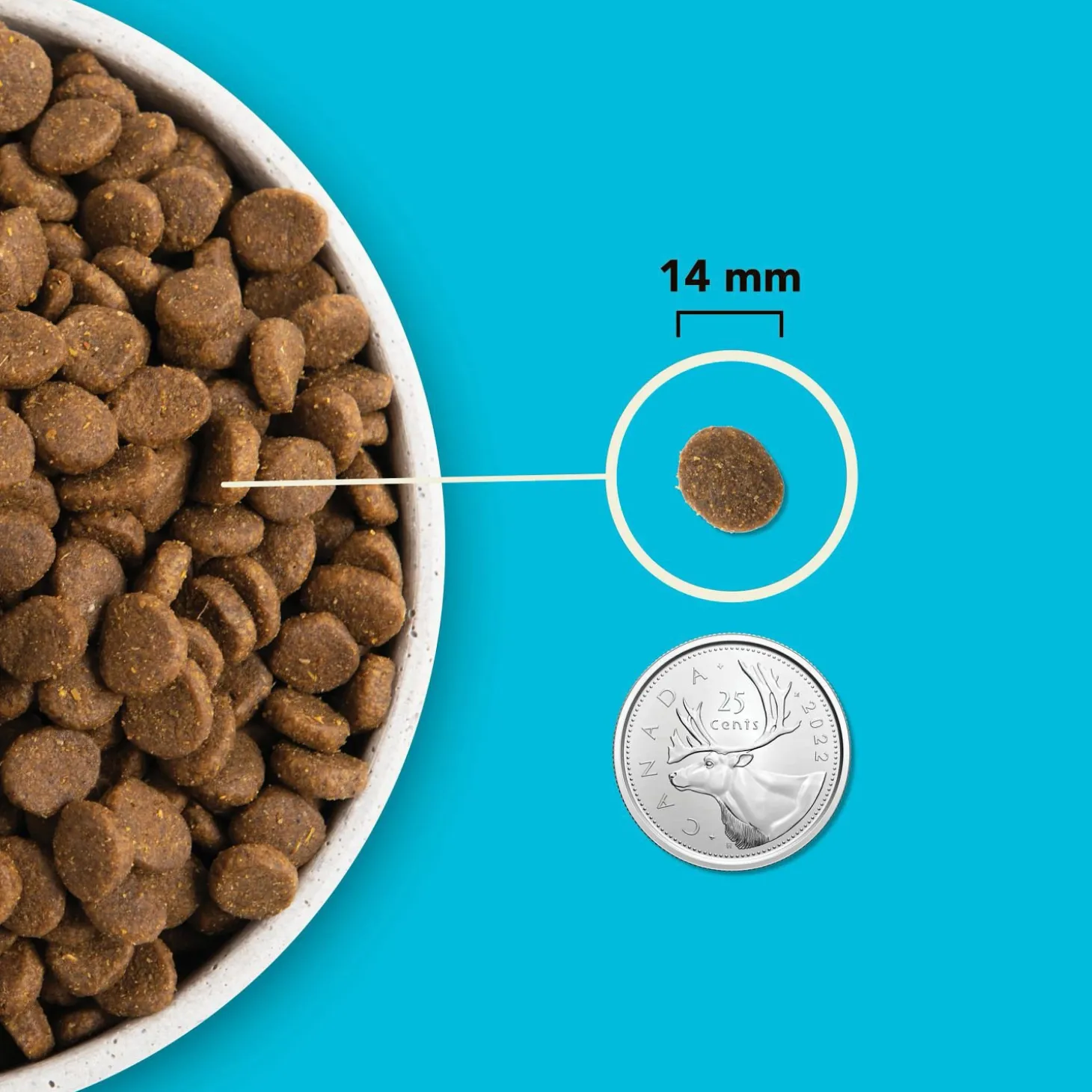 Highest Protein Pacifica Dry Dog Food Recipe, 6 kg