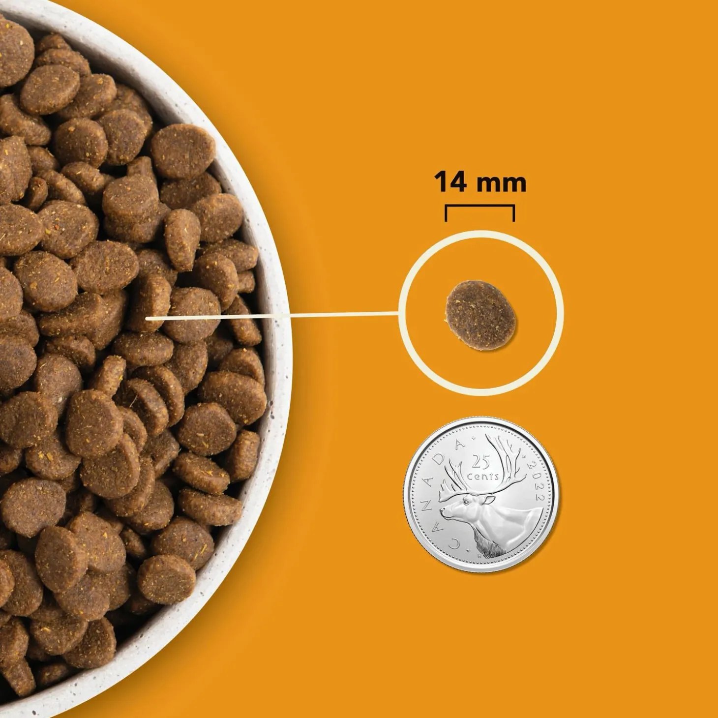 Highest Protein Wild Prairie Dry Dog Food Recipe, 6 kg
