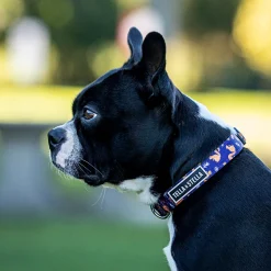 Hiking Rodent Adjustable Dog Collar, S